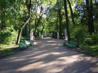 Дуля Дулькина, 1 февраля 1994, Волгоград, id19221644
